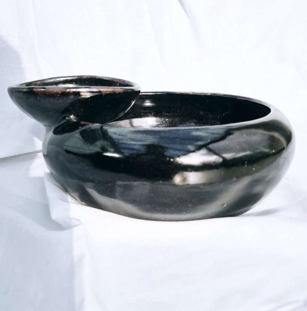 Large Bowl with integrated condiment bowl