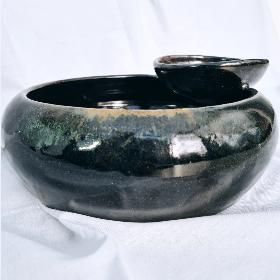 Wabi sabi chip and dip